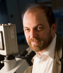 Prof. Dr. Matthias F. Schneider