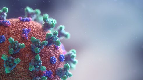 BA.5 and the Risk of Infection